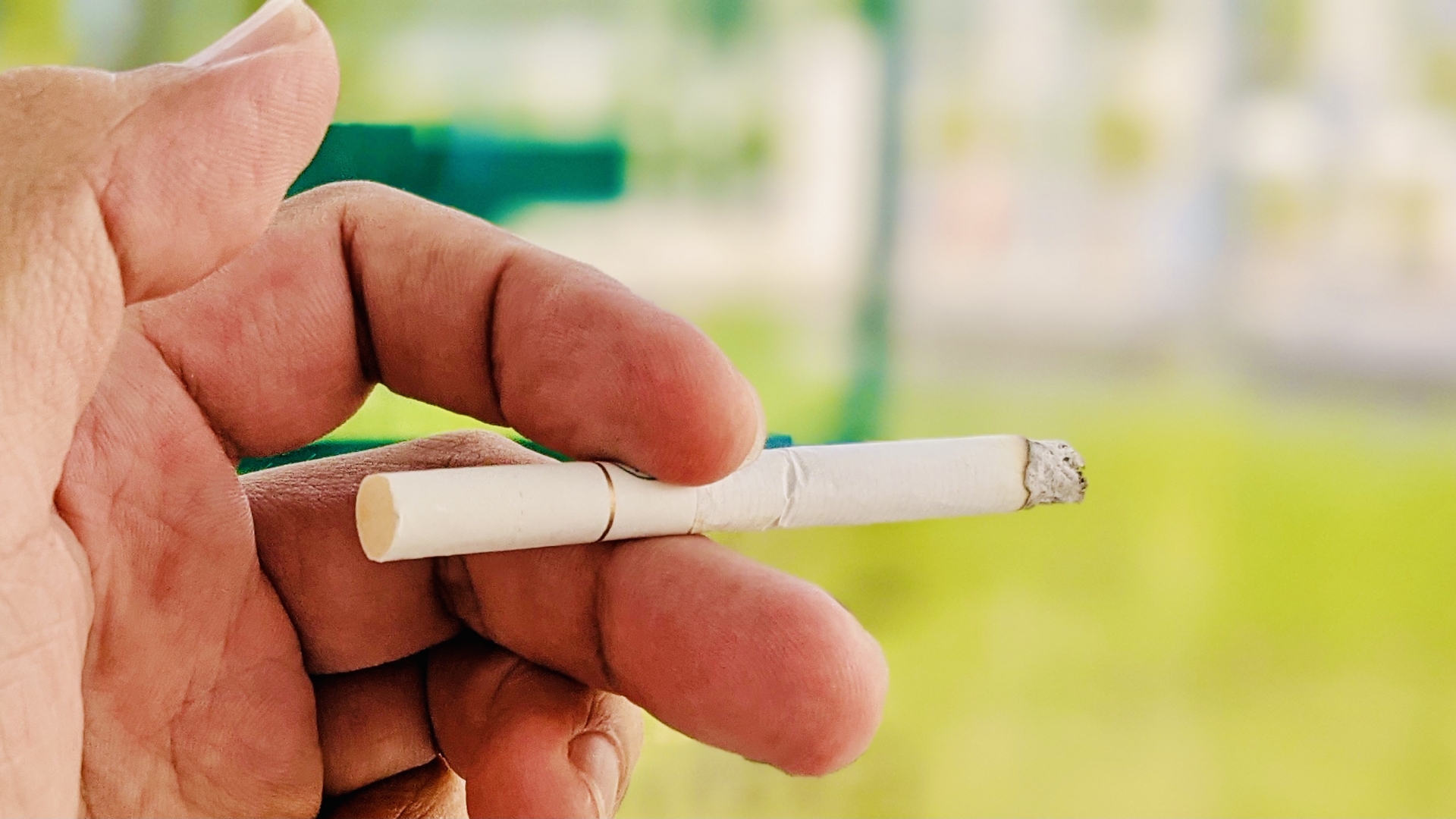 口の中に潜む細菌が引き起こす「むし歯」